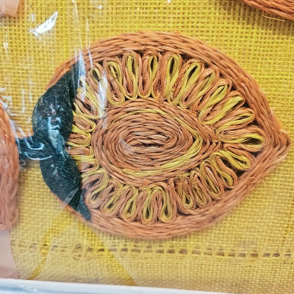Vintge Retro Kemp & Beatley 70s Orange Abaca Placemats & Coasters NOS Groovy MCM